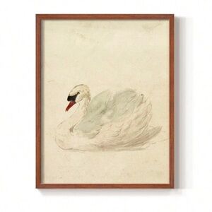 Framed Swan Art Print